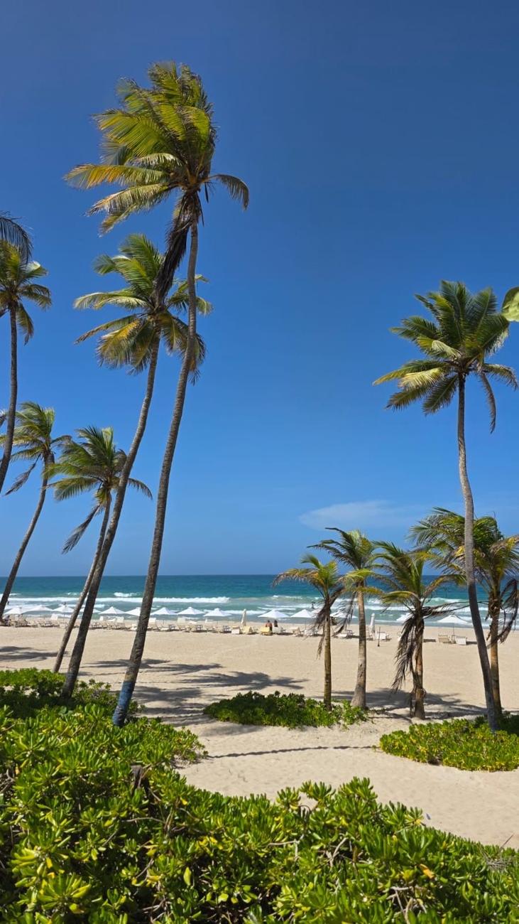 Palmy kokosowe na plaży nad Morzem Karaibskim