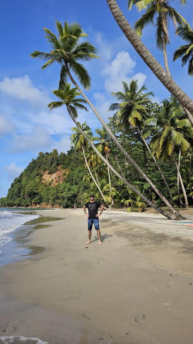 Kamil na plaży z pochylonymi palmami